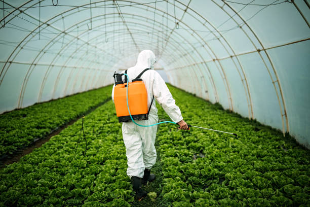 Professional Pest Control in Granby, MO