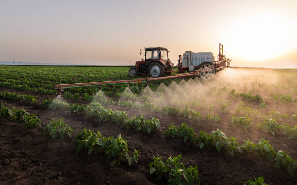 Best Mosquito Control Services  in Granby, MO