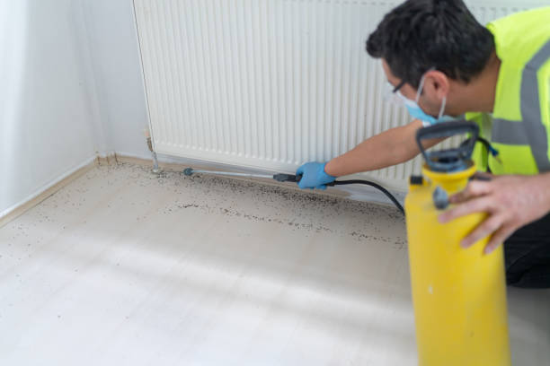 Best Pest Control Cost  in Granby, MO